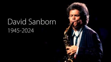 David Sanborn Tribute - Saxophone Legend