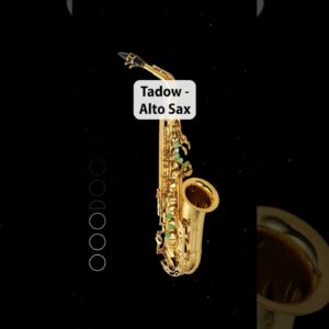 she hit me like 🗣️ tadooowww #altosax #tutorial