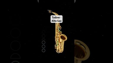 she hit me like 🗣️ tadooowww #altosax #tutorial