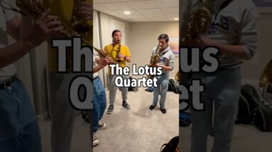 Brittany Spears Saxophone Quartet!?
